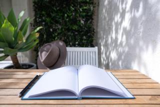 The Fables of York - Heart of an urban forest - 7