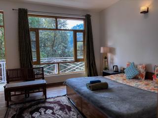 The VOID - Dharamkot - Dharamshala - 2