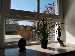 Bad Aibling City Apartment - Alpenblick - Bad Aibling - 6
