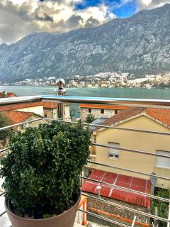 Apartments Marković - Kotor - 9