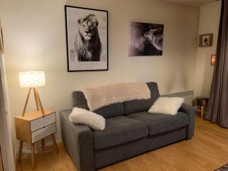 Appartement Cosy Hypercentre vue sur les montagnes - Font-Romeu-Odeillo-Via - 8