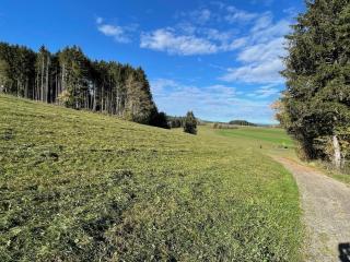 GreenHolidays - 2