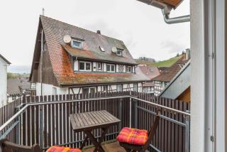 SCHUSTERjunge Aparthotel - Sasbachwalden - 4