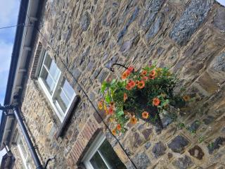 Brynteg cottage near seaside resort of New Quay - 0