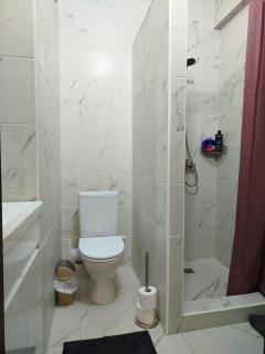 Deleanu nice apartment - Chişinău - 8