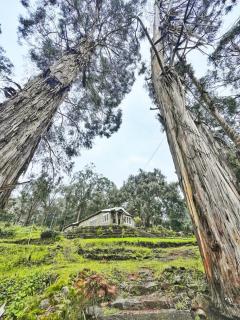 Springdale Villa - Kodaikānāl - 5