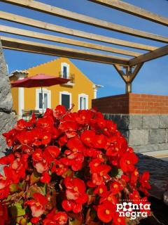 Casa das Lajes by Ponta Negra Azores - 6