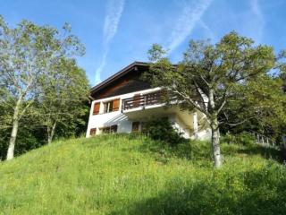 Ferienhaus Seppi - Seen und Berge - Seelisberg - 9