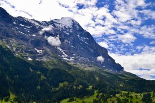 Bim Bühlmättli 4 Bett Wohnung - b48629 - Grindelwald - 2