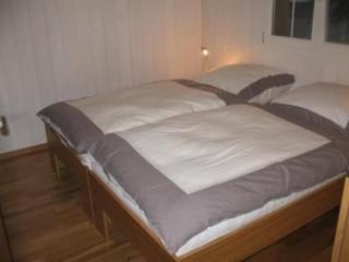 Bim Bühlmättli 4 Bett Wohnung - b48629 - Grindelwald - 1