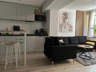 Apartament Soplicy 17 - Toruń - 8