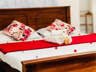 Jm Resort - Dambulla - 8