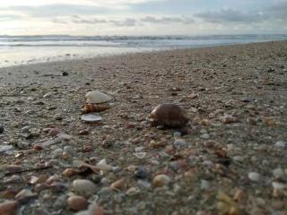 Holiday Home Beach Resort And Aquatic Sports In Tarkarli - Malvan - 3