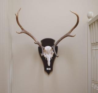 New Brachkashie Cottage - Whitebridge - 1