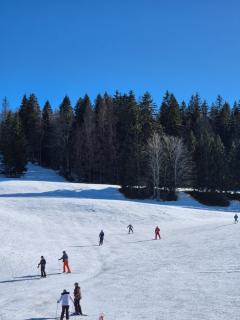 Appartement au pied des pistes, Les jouvencelles - Prémanon - 4