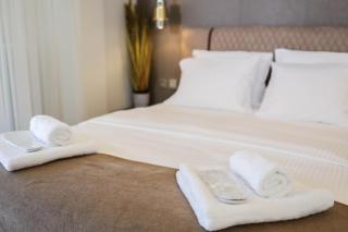 Elektras Apartment στο κέντρο της Λάρισας με δωρεάν Πάρκιγκ και Πρωινό - Larisa - 6