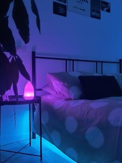 Majestic Salus Spa - Fiuggi - 6