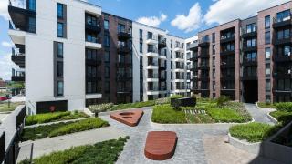 Rakowicka Steam Park, Sun & Snow - 3