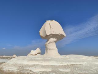 White desert safari tour - 8