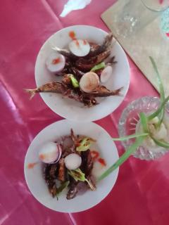 Mango Tree Hotel & Restaurant - 1