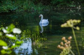 Ô jardin de boutancourt - 7