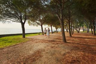 Camping Adria Ankaran - Pitches - Ankaran - 4