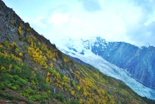 Galib Camping Site Minapin Hunza Nagar Gilgit Baltistan Pakistan - 1