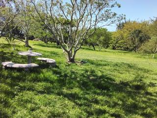 FAIRVIEW Cottages - Monzi - 1
