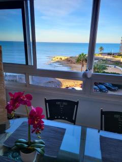 Apartament TORTUGA - Torrevieja - 9