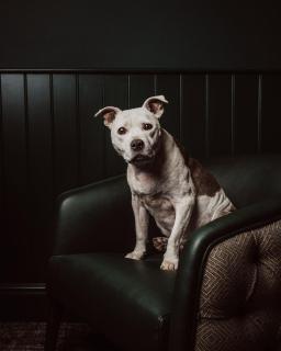 The Crown - Martley - 1