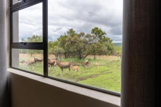 Klipdrift Sands Bush Camp - Dinokeng Game Reserve - 6