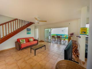 villa Caraibes proche plage - Sainte-Anne - 5