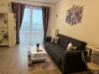 Casa cu lavanda - Brasov - 7
