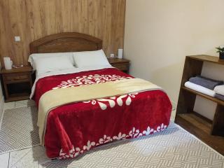 Araucaria - Essaouira - 9