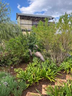 Motubane Guest Farm - Madeteleli - 2