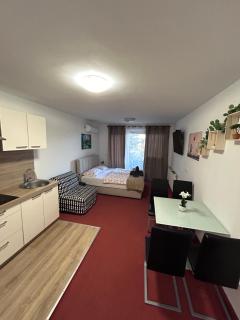 Apartmaji Irma - 5