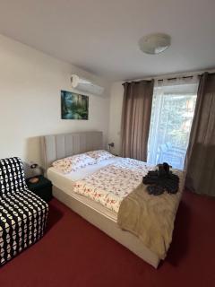 Apartmaji Irma - 2