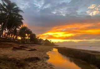 Caribbean Paradise Beach Front Condo with Pool - 4