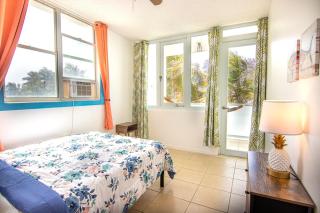 Caribbean Paradise Beach Front Condo with Pool - 1