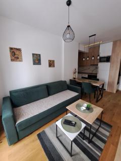 Apartman Green House Zlatibor - Zlatibor - 8