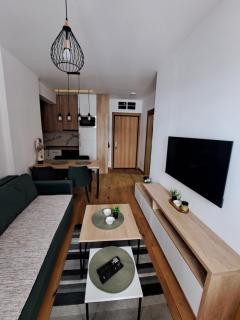 Apartman Green House Zlatibor - Zlatibor - 7