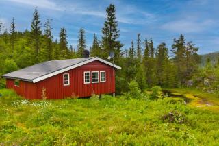 Fjellhytten by Norgesbooking - cozy traditional cabin - Dalen - 0