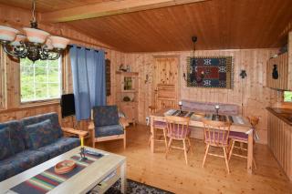 Fjellhytten by Norgesbooking - cozy traditional cabin - Dalen - 4
