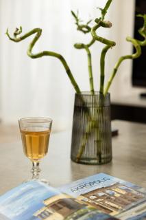 Sunny Athenian Apartment - Atene - 7