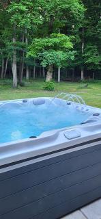 NALAN Godvicien, Spa, piscine chauffée, forêt, 14 pers - 6