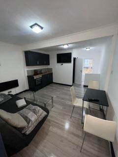 Cosy one bedroom flat - Londra - 4