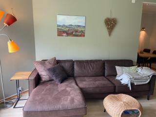 Actif 318 apartment - close to ski slopes in Ål - Holo - 5