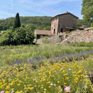 Ferme d'hôtes de Pouzes - Pézenes-les-Mines - 9