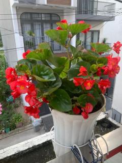 Thủ Đức home - Ho Chi Minh - 4