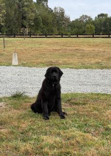 Fundo Las Cumbres - 4